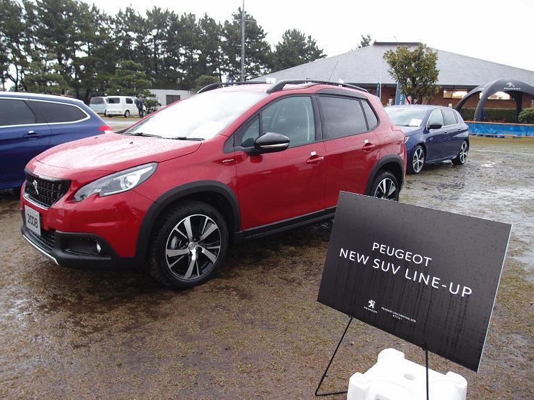 Peugeot Meeting16-13.JPG